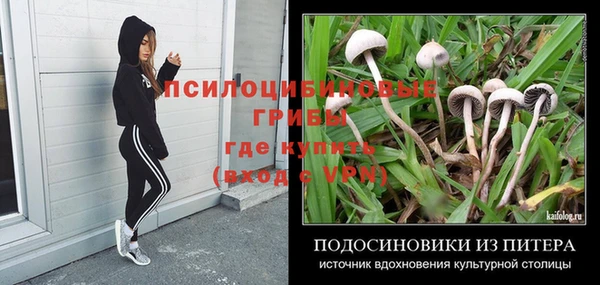 мескалин Тавда