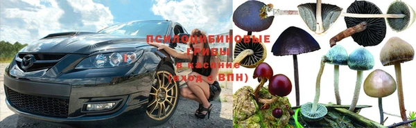 мескалин Тавда